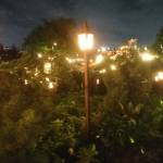 Minhhoa234 Profile Picture