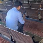 thanhbao2610 Profile Picture