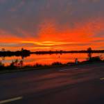 Đạt Phạm Profile Picture