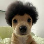 Thuan3009 Profile Picture