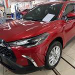 Tu Nguyen Profile Picture