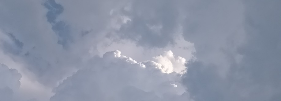 hung vqp Cover Image