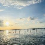 Mick Dương Profile Picture