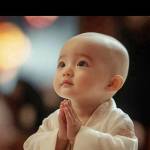 Lê Tùng Profile Picture