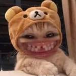 Cuongbuliem Profile Picture