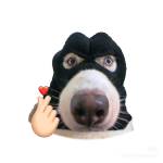 Law Hert Profile Picture