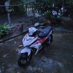 Quang Trần Minh Profile Picture