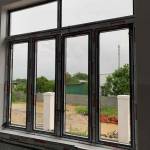 Vi Doi Profile Picture