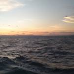 Phong Đình Profile Picture