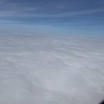 Son Nguyen Profile Picture