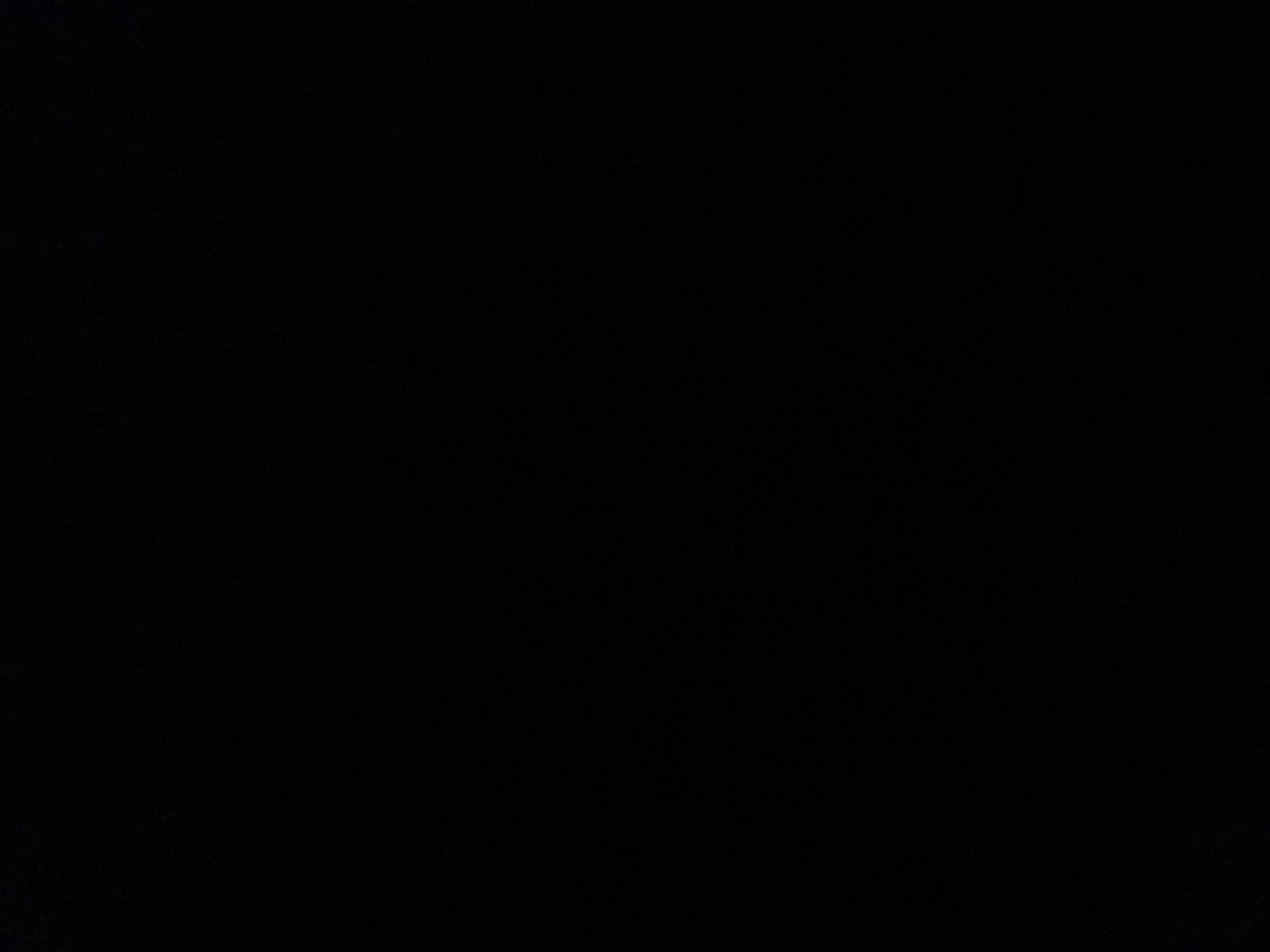 K Tran Profile Picture