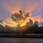 Hao Nguyen Profile Picture