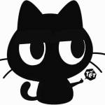 Son Nguyễn Profile Picture