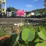 Sóc Con Profile Picture