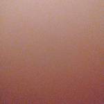 Quân Lê Profile Picture