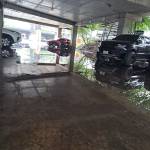 Linh Huỵn Profile Picture