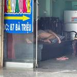 ngoc nguyen Profile Picture