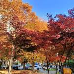 Hoàng Hà Profile Picture