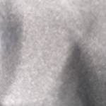 ten Ho Profile Picture