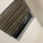 Bach Đỗ Profile Picture