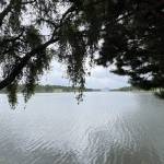 Ah1133 Lee Profile Picture