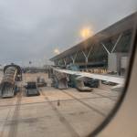 Nvpqnbrvt Profile Picture