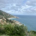 Nguyễn Tài Profile Picture