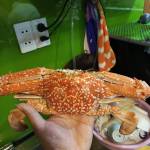 Nam Nguyễn Profile Picture