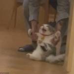 Luân Trần Profile Picture