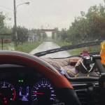 Tien Pham Profile Picture