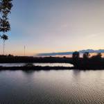 HQQQQQ Profile Picture