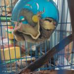 Tuan Huynh Profile Picture