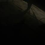 Tien Ly Profile Picture