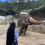 Ho Bum Profile Picture