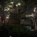 Minh Qung Profile Picture