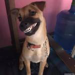 Cubu888 Profile Picture