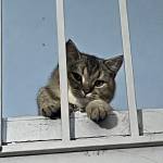 Tuấn Trần Profile Picture