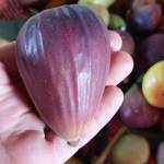 Gi Thich Profile Picture