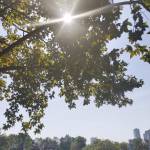 Tuấn Nguyễn Profile Picture