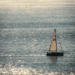 Hoanghon8065 Profile Picture