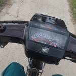 Trần Bảo Profile Picture