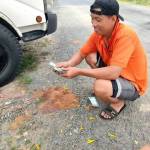 Minh chau Nguyen Profile Picture