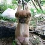 Em Trai Profile Picture