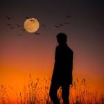 Phúc cường Tống Profile Picture