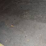 Nam Nguyễn Profile Picture