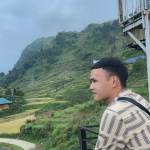 tú hoàng Profile Picture