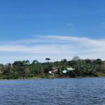 KienVan Profile Picture