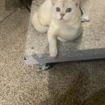 Phương duy Trần Profile Picture