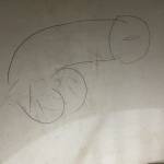 Việt Phan Profile Picture