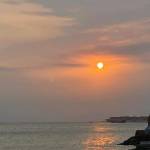 Minh Trần Profile Picture